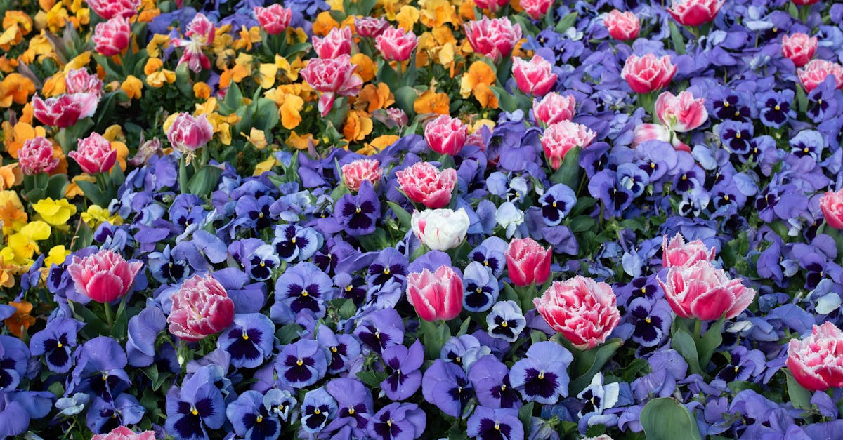 Essential Electrical Maintenance Checklist for Every Home