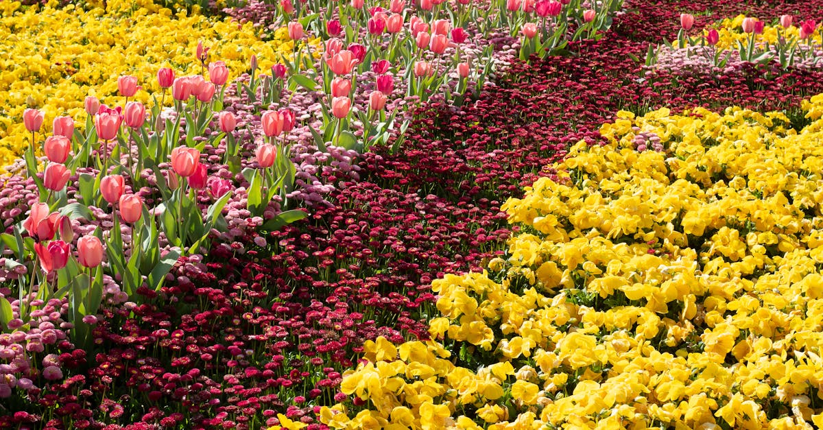 Importance of Safety Switches in Preventing Electrical Hazards