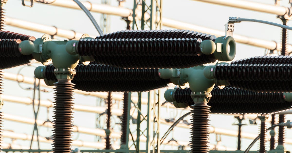 The Role of Government Incentives in Energy Efficiency Audits